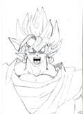 Vegetto