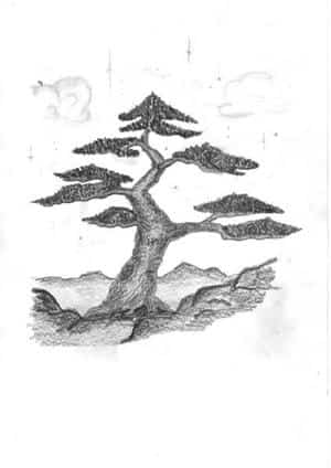 Bonsai