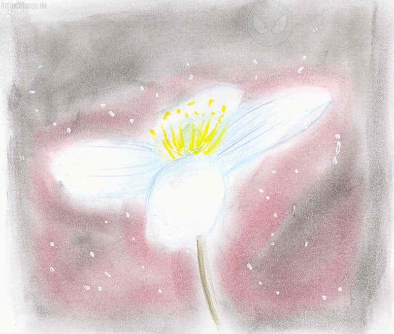 Einzelne Blume in der Dunkelheit