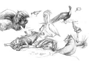 Me was in the zoo part 1