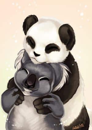 Panda + koala = * coeur *