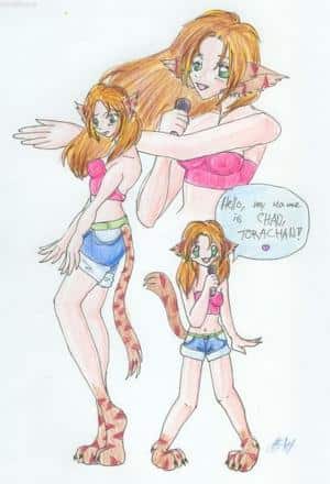 Bonjour, je m'appelle Torachan!