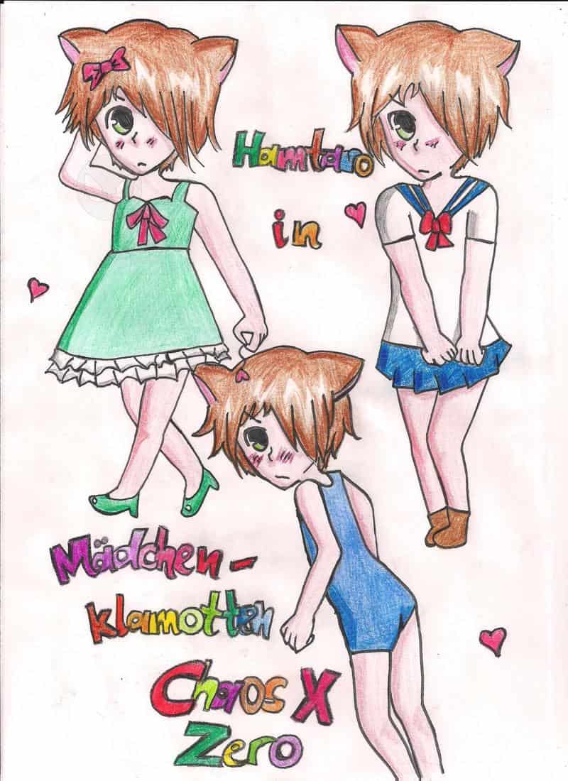 Hamtaro-Chaos X Zero