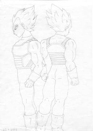 Vegeta 04