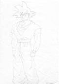 Son Goku 03