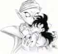 Piccolo &amp; Gohan