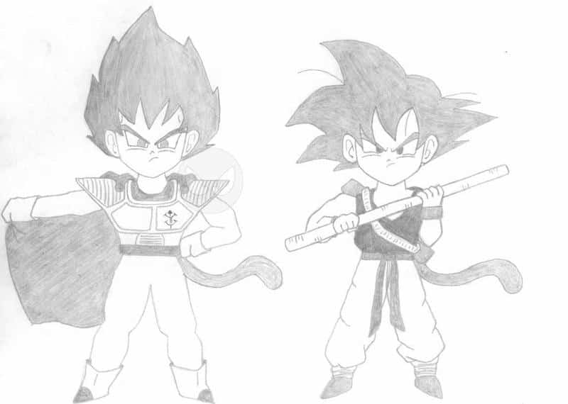 Prinz Vegeta und Son Goku
