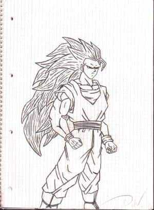 Son Goku SSJ level 3