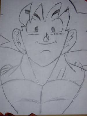 Son Goku Ende Z