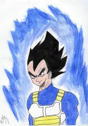 vegeta mit energie