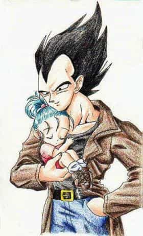 Vegeta und Bra