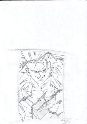 Goku SSJ3 part II