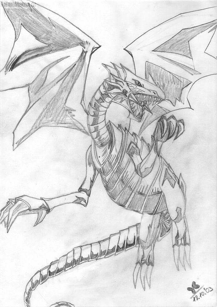 Weißerdrache skizze