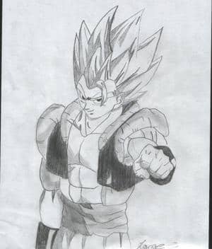 Gogeta and Goku