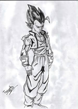 Trugeta oder Vegetunks(sucht euch was aus)