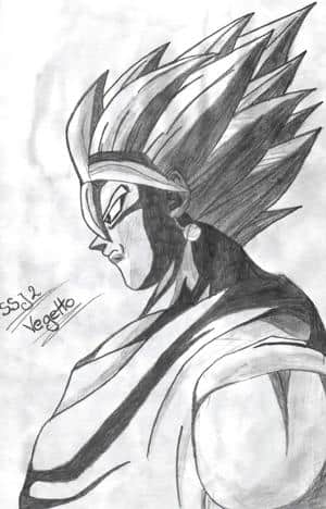 SSJ2 Vegetto