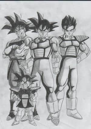 Goku´s Family