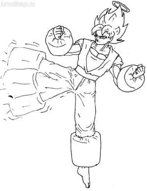 Son Goku´s Training.