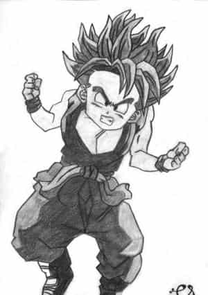 Trunks