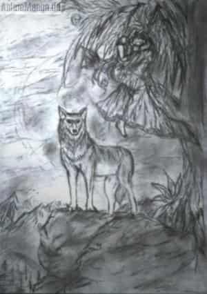 wolfs skizze