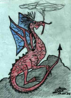 Drache auf Felsen