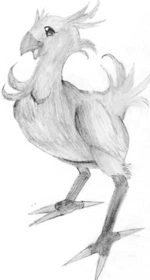 Chocobo