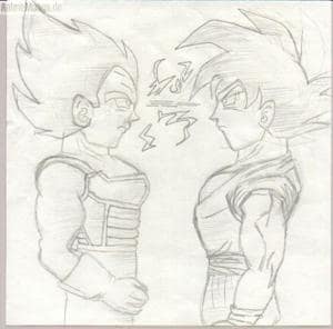 Vegeta & Goku