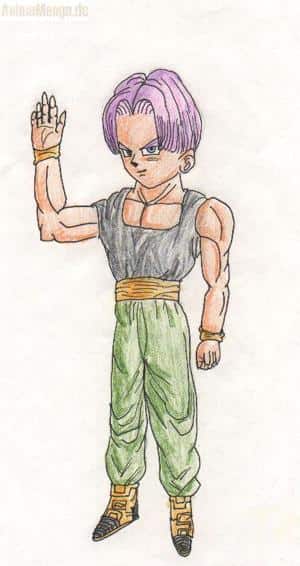 Trunks