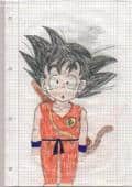Son Goku *glotz*