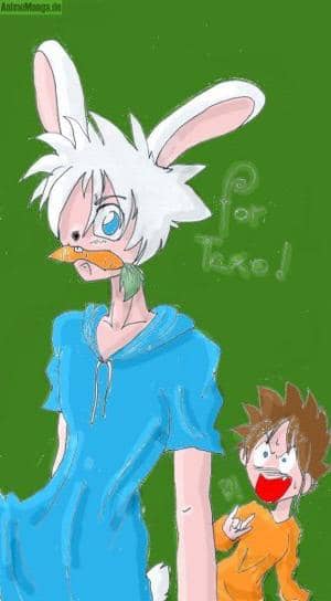 mein kanickel als mensch - for texo