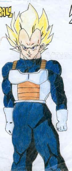 Vegeta Z