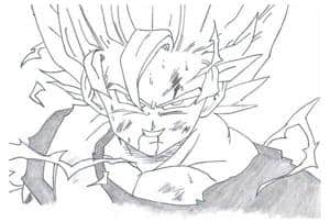 SSJ
