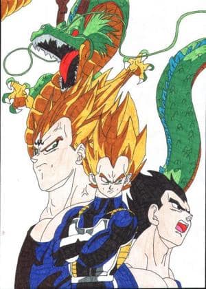 Vegeta uns Shenlong