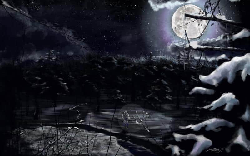 Monthly Fanartchallange # 6: Winter - this land