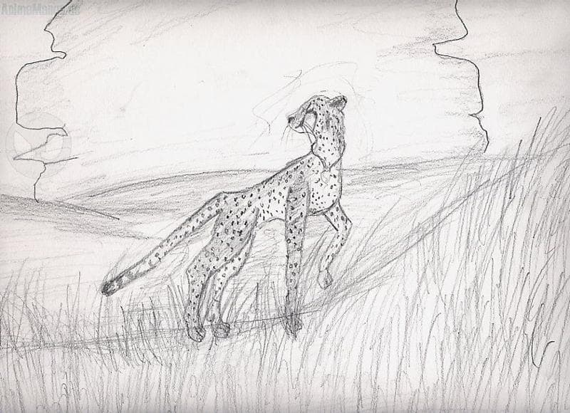 Gepan in der savanne