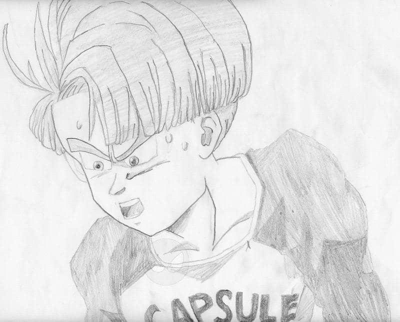 Trunks klein