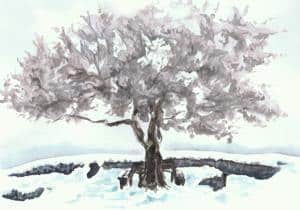 Arbre d'hiver