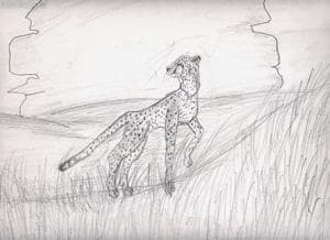 Gepan in der savanne