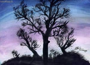 eerm..ihrgend ein sonnenuntergang.