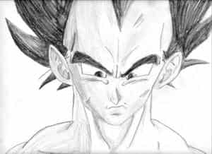 Vegeta(nochmal)