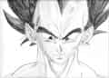 Vegeta(nochmal)