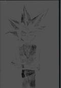 Yami Yugi ohne Jacke