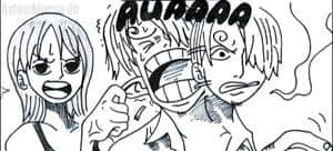 Nami schimpft Sanji