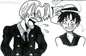 Ruffy und Sanji