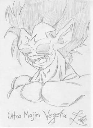 Ultra Majin Vegeta !!!