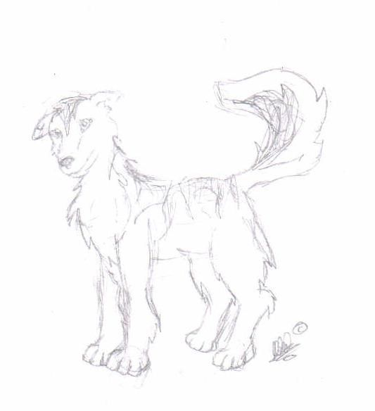 merkwürdiges Wolfilein