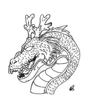 Shenlong