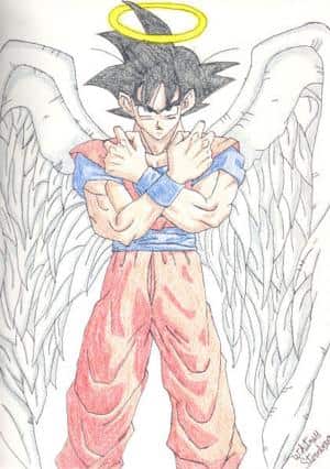 himmliscer Goku