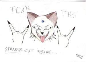 Fear the strange cat inside...