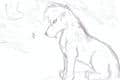 wolfie ^-^
